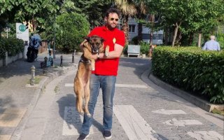 Hafızanın çalışması ve dejavu kuramı. 2 Temmuz 2025